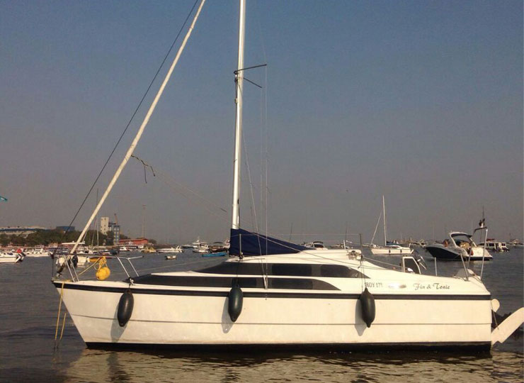 majesty66